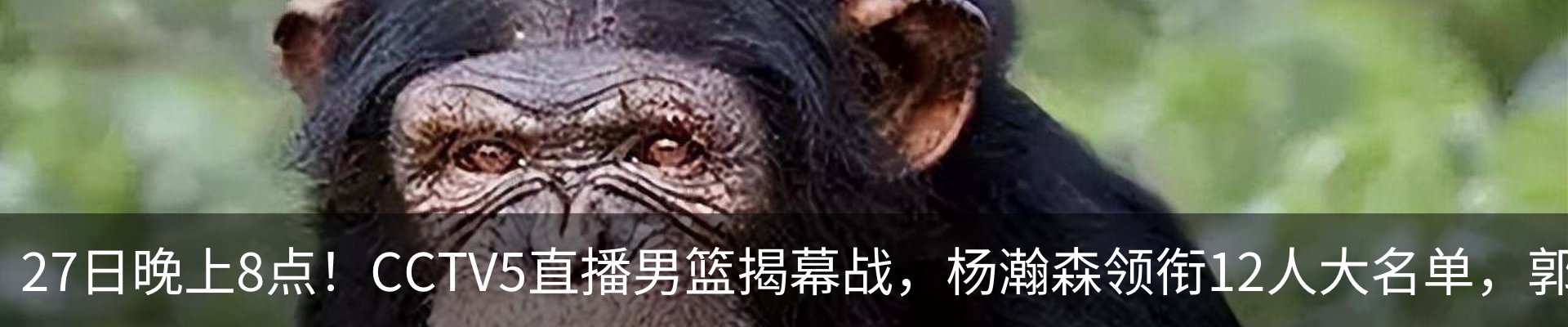 资讯中心
