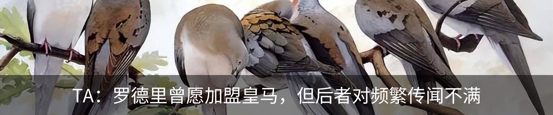 资讯中心